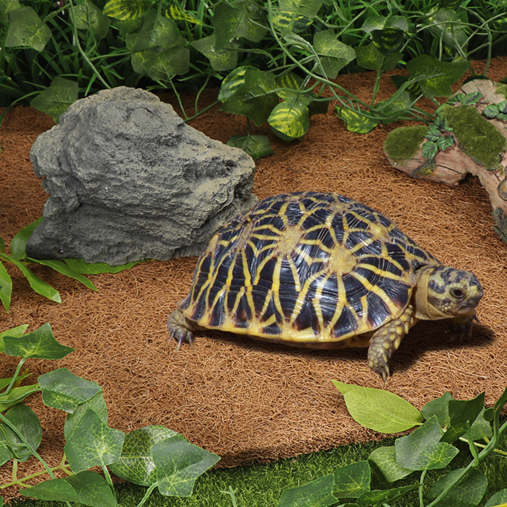Reptile Substrate Carpet Made  - Substrate Coconut Fiber recension och pris